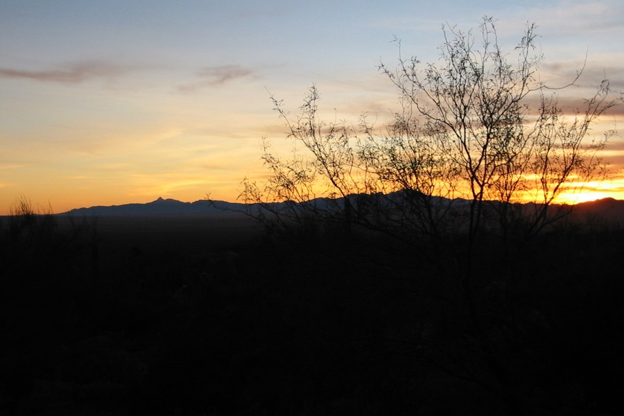 ../image/sunset at desert museum 2.jpg